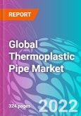 Global Thermoplastic Pipe Market 2022-2032- Product Image