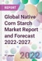 Global Native Corn Starch Market Report and Forecast 2022-2027 - Product Thumbnail Image