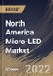 North America Micro-LED Market Size, Share & Industry Trends Analysis Report By Application (Display and Lighting), By Display Type, By Lighting Type, By Panel Size, By Vertical, By Country and Growth Forecast, 2021-2027 - Product Thumbnail Image