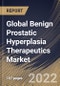 Global Benign Prostatic Hyperplasia Therapeutics Market Size, Share & Industry Trends Analysis Report By Therapy (Mono Drug Therapy and Combination Drug Therapy), By Therapeutics Class, By Regional Outlook and Forecast, 2021-2027 - Product Image