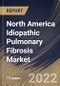 North America Idiopathic Pulmonary Fibrosis Market Size, Share & Industry Trends Analysis Report By Drug Type, By Distribution Channel (Retail Pharmacies, Hospital Pharmacies, and Online Providers, By Country and Growth Forecast, 2021-2027 - Product Thumbnail Image