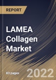 LAMEA Collagen Market Size, Share & Industry Trends Analysis Report By Product Type (Gelatin, Hydrolyzed and Native), By Source, By Form, By Application, By Country and Growth Forecast, 2021-2027- Product Image