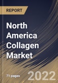 North America Collagen Market Size, Share & Industry Trends Analysis Report By Product Type (Gelatin, Hydrolyzed and Native), By Source, By Form, By Application, By Country and Growth Forecast, 2021-2027- Product Image