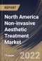 North America Non-invasive Aesthetic Treatment Market Size, Share & Industry Trends Analysis Report By End-Use (MedSpa, Hospital/Surgery Center, Traditional Spa, and HCP Owned Clinic), By Procedure, By Country and Growth Forecast, 2021-2027 - Product Image