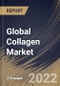 Global Collagen Market Size, Share & Industry Trends Analysis Report By Product Type (Gelatin, Hydrolyzed and Native), By Source, By Form, By Application, By Regional Outlook and Forecast, 2021-2027 - Product Thumbnail Image