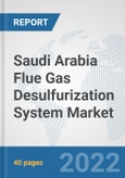 Saudi Arabia Flue Gas Desulfurization System Market: Prospects, Trends Analysis, Market Size and Forecasts up to 2027- Product Image