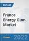 France Energy Gum Market: Prospects, Trends Analysis, Market Size and Forecasts up to 2027 - Product Thumbnail Image