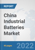 China Industrial Batteries Market: Prospects, Trends Analysis, Market Size and Forecasts up to 2027- Product Image