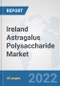 Ireland Astragalus Polysaccharide Market: Prospects, Trends Analysis, Market Size and Forecasts up to 2027 - Product Thumbnail Image