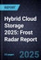 Hybrid Cloud Storage 2025: Frost Radar Report - Product Thumbnail Image