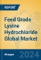 Feed Grade Lysine Hydrochloride Global Market Insights 2024, Analysis and Forecast to 2029, by Manufacturers, Regions, Technology, Application, Product Type - Product Image