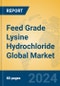 Feed Grade Lysine Hydrochloride Global Market Insights 2023, Analysis and Forecast to 2028, by Manufacturers, Regions, Technology, Application, Product Type - Product Thumbnail Image