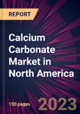 Calcium Carbonate Market in North America 2024-2028- Product Image