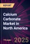 Calcium Carbonate Market in North America 2024-2028 - Product Thumbnail Image