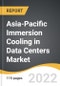 Asia-Pacific Immersion Cooling in Data Centers Market 2022-2028 - Product Image