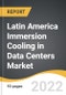 Latin America Immersion Cooling in Data Centers Market 2022-2028 - Product Image