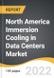 North America Immersion Cooling in Data Centers Market 2022-2028 - Product Image