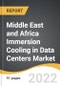 Middle East and Africa Immersion Cooling in Data Centers Market 2022-2028 - Product Image