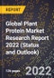 Global Plant Protein Market Research Report 2022 (Status and Outlook) - Product Image