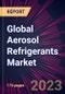 Global Aerosol Refrigerants Market 2022-2026 - Product Image