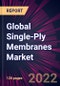 Global Single-Ply Membranes Market 2022-2026 - Product Thumbnail Image