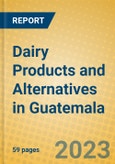Dairy Products and Alternatives in Guatemala- Product Image
