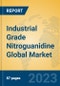 Industrial Grade Nitroguanidine Global Market Insights 2023, Analysis and Forecast to 2028, by Manufacturers, Regions, Technology, Application, Product Type - Product Image