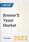 Brewer's Yeast Market Outlook to 2030 - A Roadmap to Market Opportunities, Strategies, Trends, Companies, and Forecasts by Type, Application, Companies, Countries - Product Image