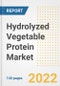Hydrolyzed Vegetable Protein Market Outlook to 2030 - A Roadmap to Market Opportunities, Strategies, Trends, Companies, and Forecasts by Type, Application, Companies, Countries - Product Image