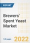 Brewers' Spent Yeast Market Outlook to 2030 - A Roadmap to Market Opportunities, Strategies, Trends, Companies, and Forecasts by Type, Application, Companies, Countries - Product Image
