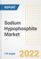 Sodium Hypophosphite Market Outlook to 2030 - A Roadmap to Market Opportunities, Strategies, Trends, Companies, and Forecasts by Type, Application, Companies, Countries - Product Image