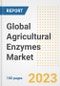 Global Agricultural Enzymes Market Size, Share, Trends, Growth, Outlook, and Insights Report, 2023 - Industry Forecasts by Type, Application, Segments, Countries, and Companies, 2018-2030 - Product Image