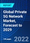 Global Private 5G Network Market, Forecast to 2029 - Product Thumbnail Image