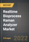 Realtime Bioprocess Raman Analyzer Market - Analysis by Product (Handheld, Bench Top, Wall Mount Raman), Component, End-user, Region, and Country (2022 Edition): Market Insights and Forecast with Impact of COVID-19 (2022-2027) - Product Thumbnail Image