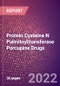 Protein Cysteine N Palmitoyltransferase Porcupine Drugs in Development by Therapy Areas and Indications, Stages, MoA, RoA, Molecule Type and Key Players - Product Thumbnail Image