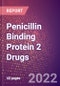 Penicillin Binding Protein 2 Drugs in Development by Therapy Areas and Indications, Stages, MoA, RoA, Molecule Type and Key Players - Product Thumbnail Image