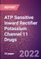 ATP Sensitive Inward Rectifier Potassium Channel 11 Drugs in Development by Therapy Areas and Indications, Stages, MoA, RoA, Molecule Type and Key Players - Product Thumbnail Image