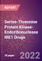 Serine-Threonine Protein Kinase-Endoribonuclease IRE1 Drugs in Development by Therapy Areas and Indications, Stages, MoA, RoA, Molecule Type and Key Players - Product Thumbnail Image
