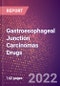 Gastroesophageal Junction Carcinomas Drugs in Development by Stages, Target, MoA, RoA, Molecule Type and Key Players - Product Thumbnail Image