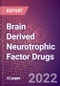 Brain Derived Neurotrophic Factor Drugs in Development by Therapy Areas and Indications, Stages, MoA, RoA, Molecule Type and Key Players - Product Thumbnail Image