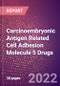 Carcinoembryonic Antigen Related Cell Adhesion Molecule 5 Drugs in Development by Therapy Areas and Indications, Stages, MoA, RoA, Molecule Type and Key Players - Product Thumbnail Image