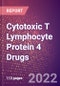 Cytotoxic T Lymphocyte Protein 4 Drugs in Development by Therapy Areas and Indications, Stages, MoA, RoA, Molecule Type and Key Players - Product Thumbnail Image