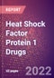 Heat Shock Factor Protein 1 Drugs in Development by Therapy Areas and Indications, Stages, MoA, RoA, Molecule Type and Key Players - Product Thumbnail Image