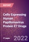 Cells Expressing Human Papillomavirus Protein E7 Drugs in Development by Therapy Areas and Indications, Stages, MoA, RoA, Molecule Type and Key Players - Product Thumbnail Image