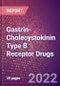 Gastrin-Cholecystokinin Type B Receptor Drugs in Development by Therapy Areas and Indications, Stages, MoA, RoA, Molecule Type and Key Players - Product Thumbnail Image