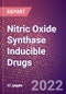 Nitric Oxide Synthase Inducible Drugs in Development by Therapy Areas and Indications, Stages, MoA, RoA, Molecule Type and Key Players - Product Thumbnail Image
