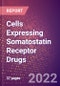 Cells Expressing Somatostatin Receptor Drugs in Development by Therapy Areas and Indications, Stages, MoA, RoA, Molecule Type and Key Players - Product Thumbnail Image