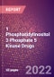 1 Phosphatidylinositol 3 Phosphate 5 Kinase Drugs in Development by Therapy Areas and Indications, Stages, MoA, RoA, Molecule Type and Key Players - Product Thumbnail Image