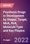 Psychosis Drugs in Development by Stages, Target, MoA, RoA, Molecule Type and Key Players - Product Image