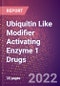 Ubiquitin Like Modifier Activating Enzyme 1 Drugs in Development by Therapy Areas and Indications, Stages, MoA, RoA, Molecule Type and Key Players - Product Thumbnail Image